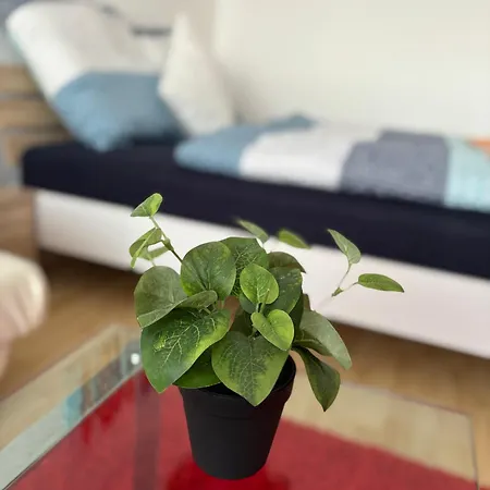 B710, Schoene Und Einladende Apartment *
